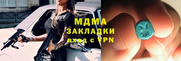 индика Алексин