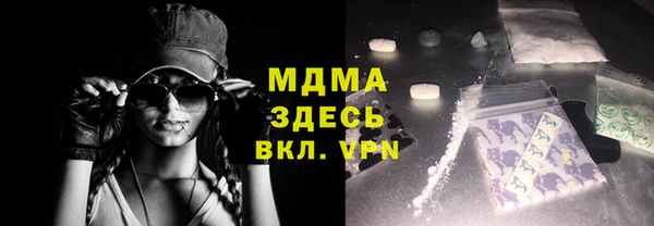 индика Алексин