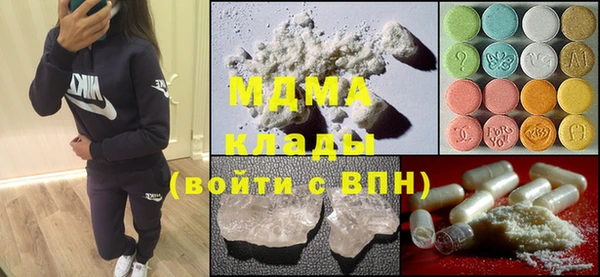индика Алексин
